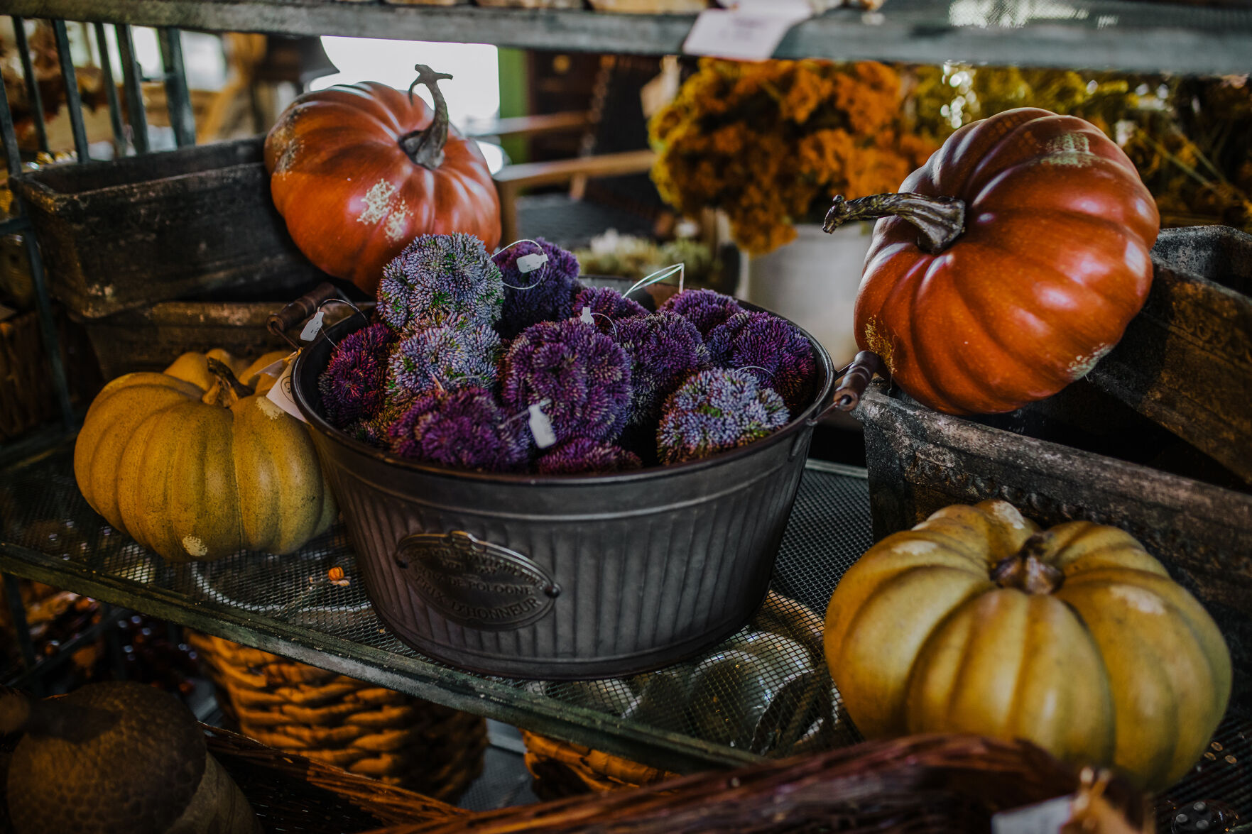 Pumpkins